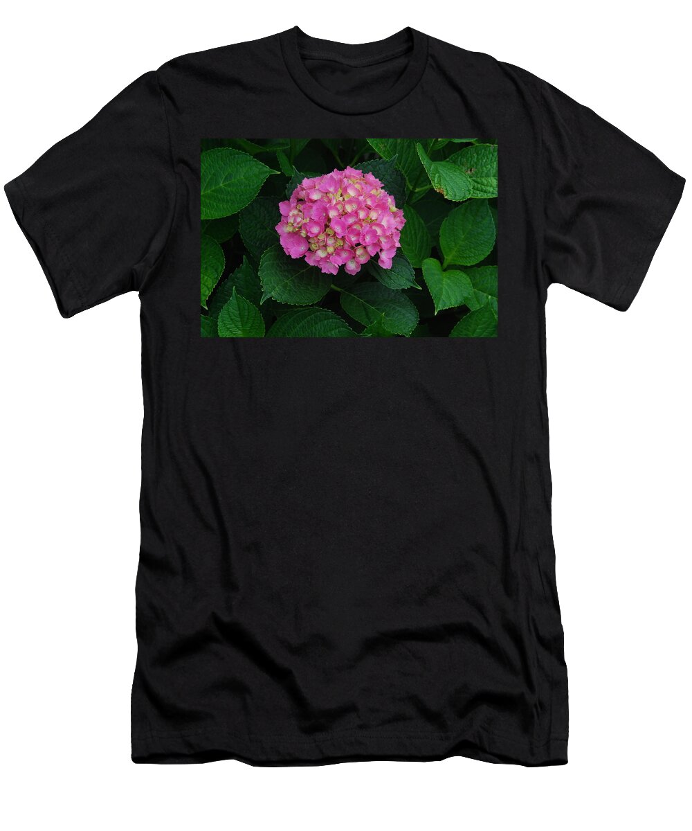 Annabelle Hydrangea T-Shirt featuring the photograph Annabelle Hydrangeas #4 by Ee Photography