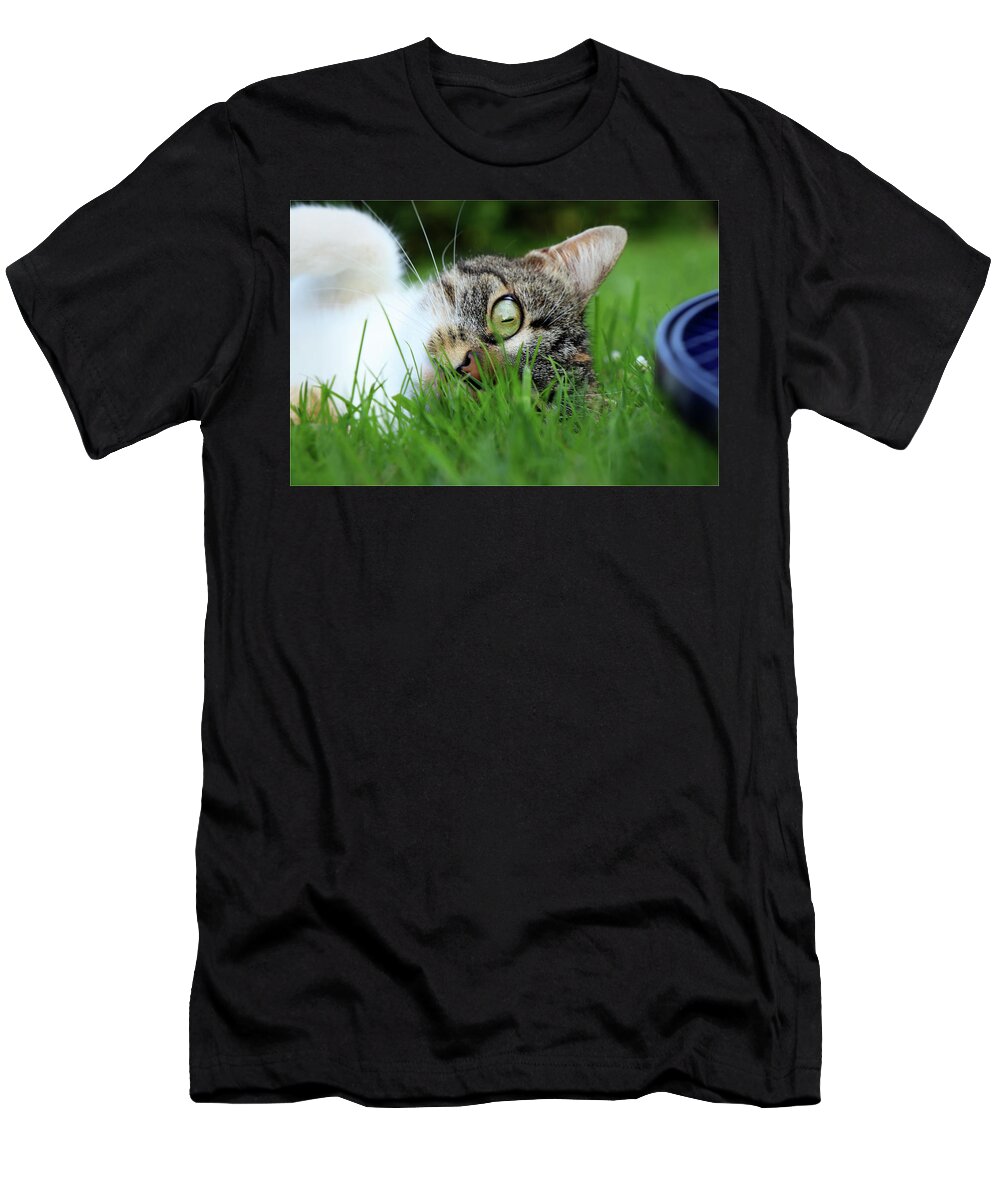 Domestic Cat T-Shirt featuring the photograph Gaze of a domestic cat by Vaclav Sonnek