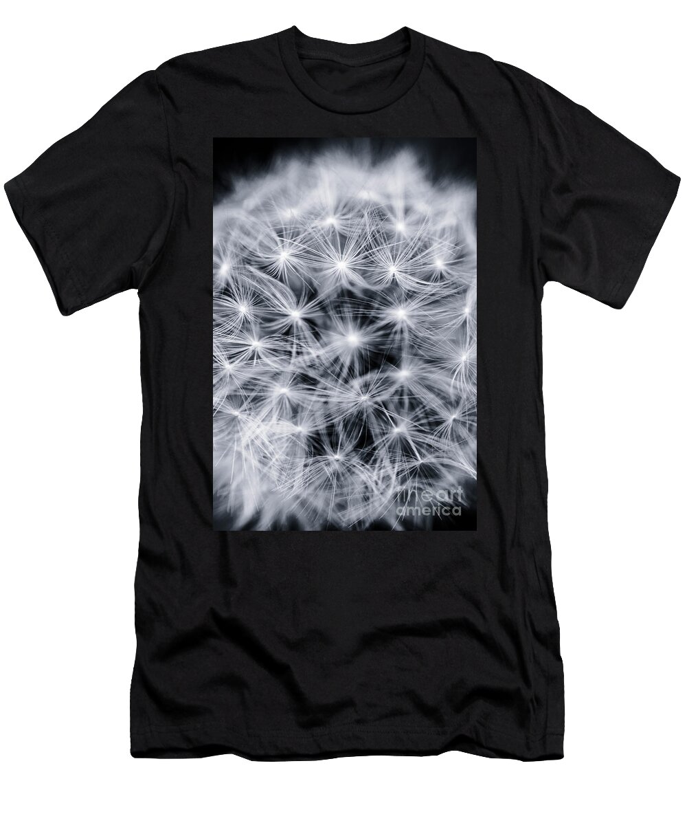 Dandelion T-Shirt featuring the photograph Abstract Dandelion by David Lichtneker
