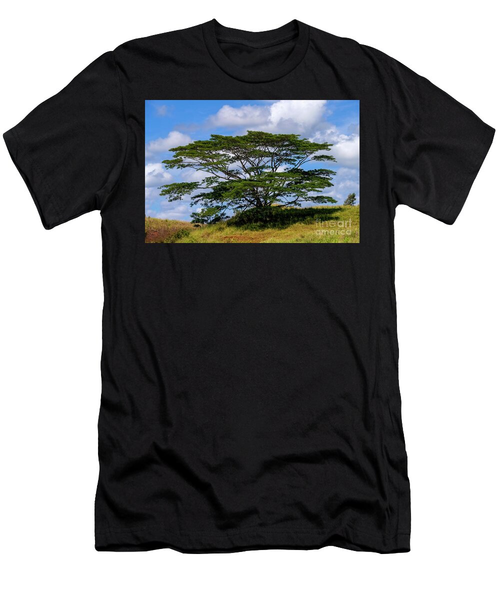 Acacia Tree T-Shirt featuring the photograph Acacia Tree by Michael Dawson