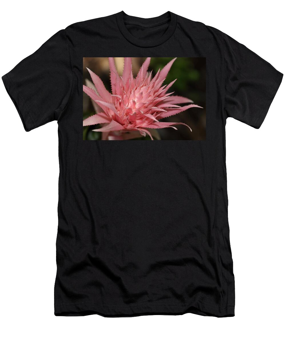 Aechmea Fasciata T-Shirt featuring the photograph Flower of Aechmea fasciata by Mingming Jiang