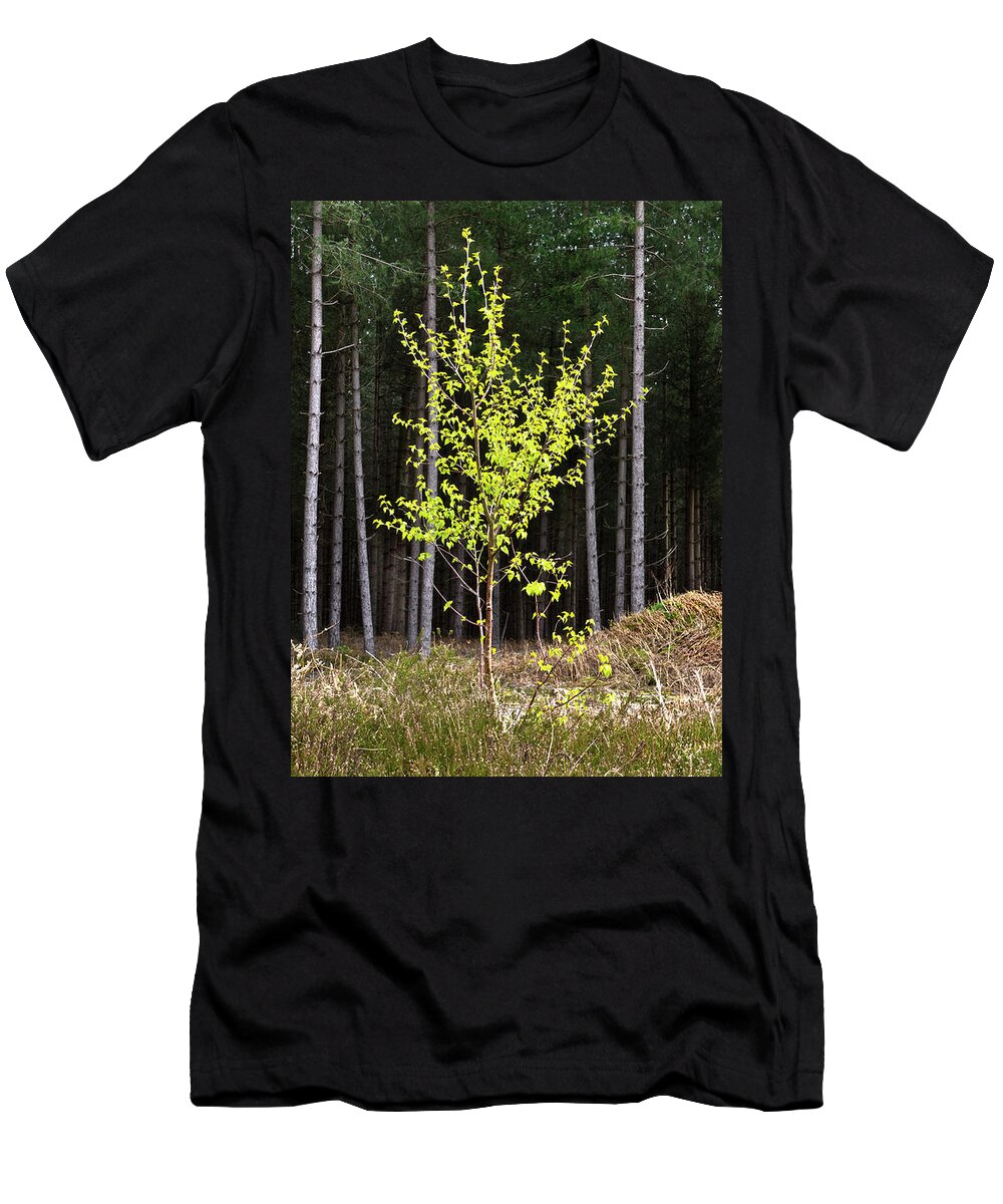 Alone Protected Beauty Beautiful Delightful Tree Solitary Growing Woods Forest Spring Summer Fir Leaves Shining Glory Trunks Jolly Happy Joyful Atmospheric Landscape Wonderland Single Glorious Uk Green Yellow Attractive Pretty Awesome Nature Woodland Sunny Solitude Magical Poetic Protection Singled Artistic Painterly Contemporary Conceptual Thoughtful Crowd Allure Majestic Solitaire Untroubled Unwinding Creative Soulful Passionate Spiritual Peaceful Relaxing Tranquility Serenity Inspiring Vivid T-Shirt featuring the photograph Alone And Protected by Tatiana Bogracheva