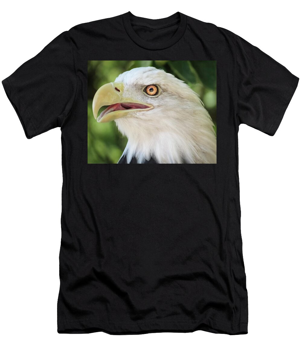 Eagle T-Shirt featuring the photograph American Bald Eagle Portrait - Bright Eye by Patti Deters
