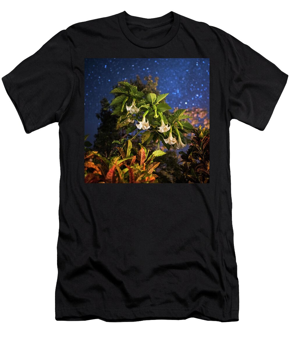 Belize T-Shirt featuring the photograph Angel's Trumpet Flowers Belmopan Belize Starry Skies Square by Toby McGuire