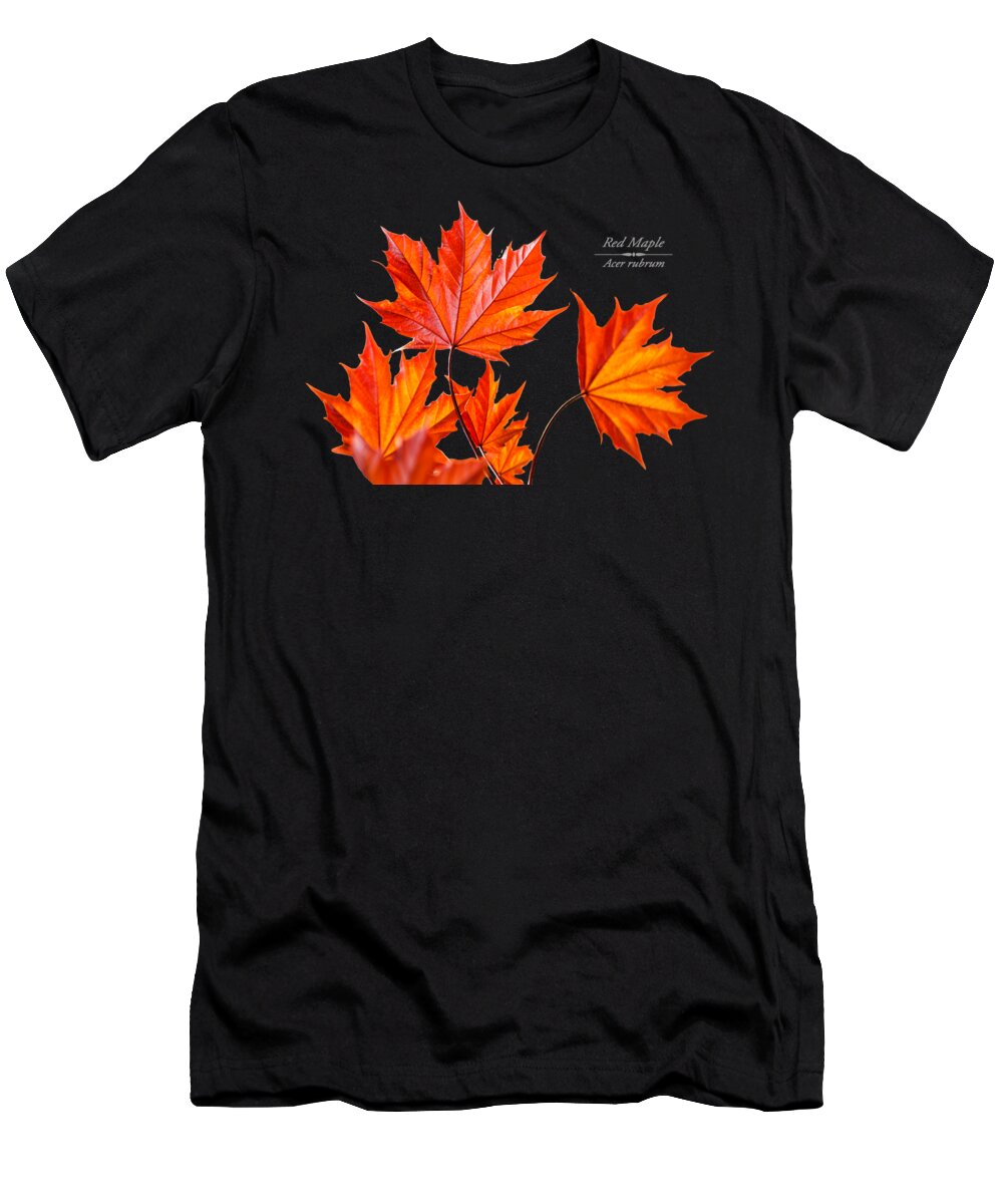 Leaves T-Shirt featuring the mixed media Red Maple by Christina Rollo