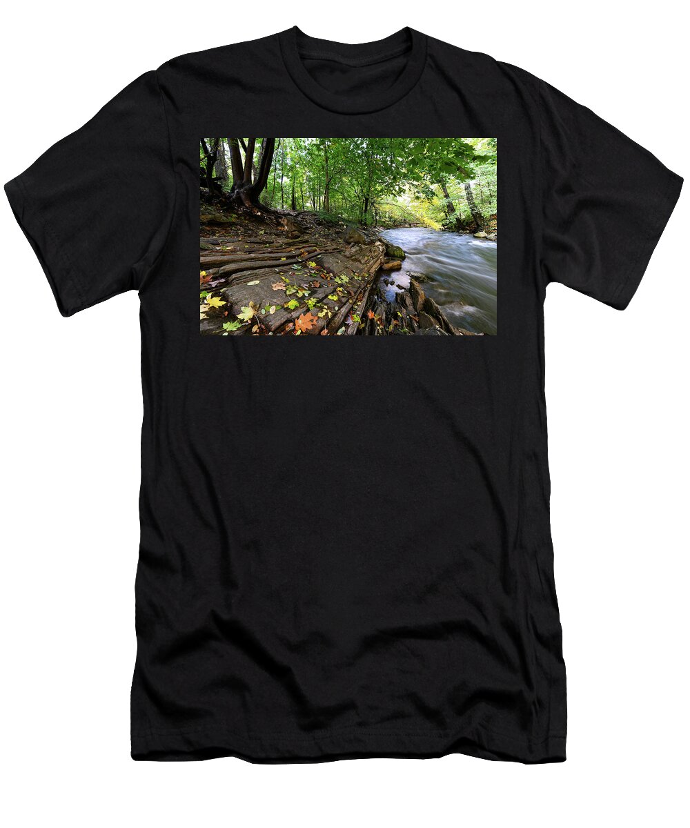 Autumn T-Shirt featuring the photograph Autumn Along the Bronx River by Kevin Suttlehan