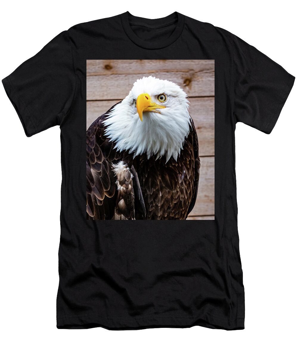 Bald T-Shirt featuring the digital art Bald Eagle Ketchikan by SnapHappy Photos
