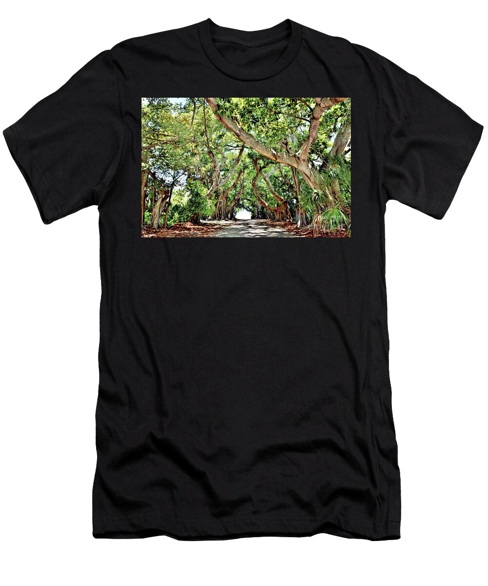 Banyan T-Shirt featuring the photograph Banyan Street Boca Grande by Alison Belsan Horton