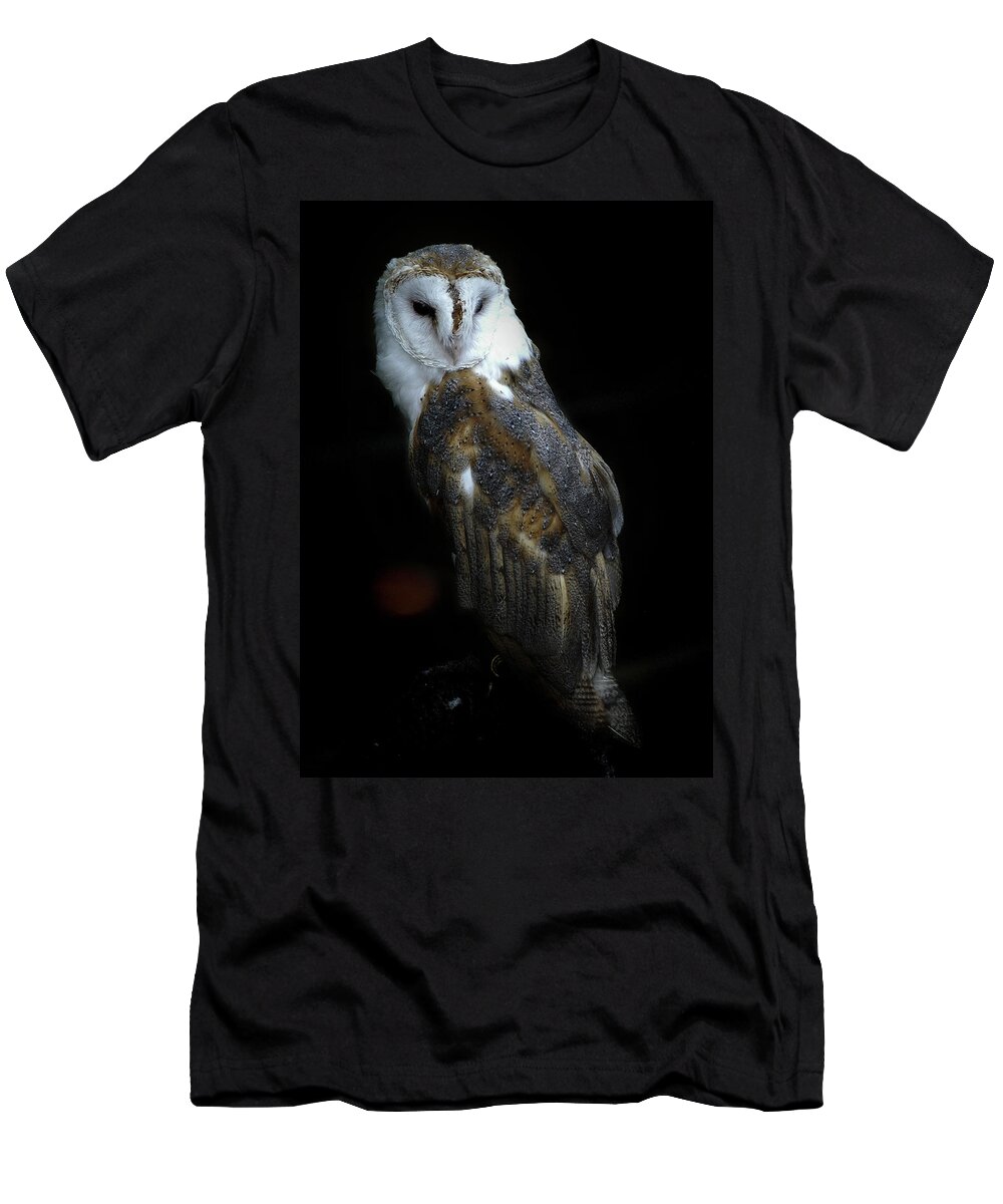 Barn Owl Digitally Printed Baseball Style T-Shirt Black Sleeves 