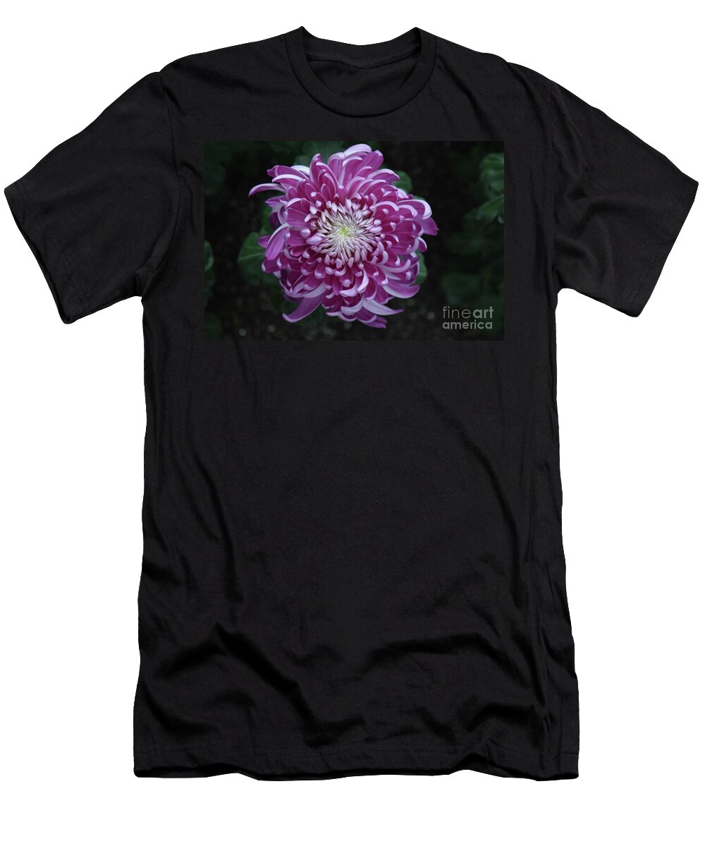 Art T-Shirt featuring the photograph Beautiful Chrysanthemum by Jeannie Rhode