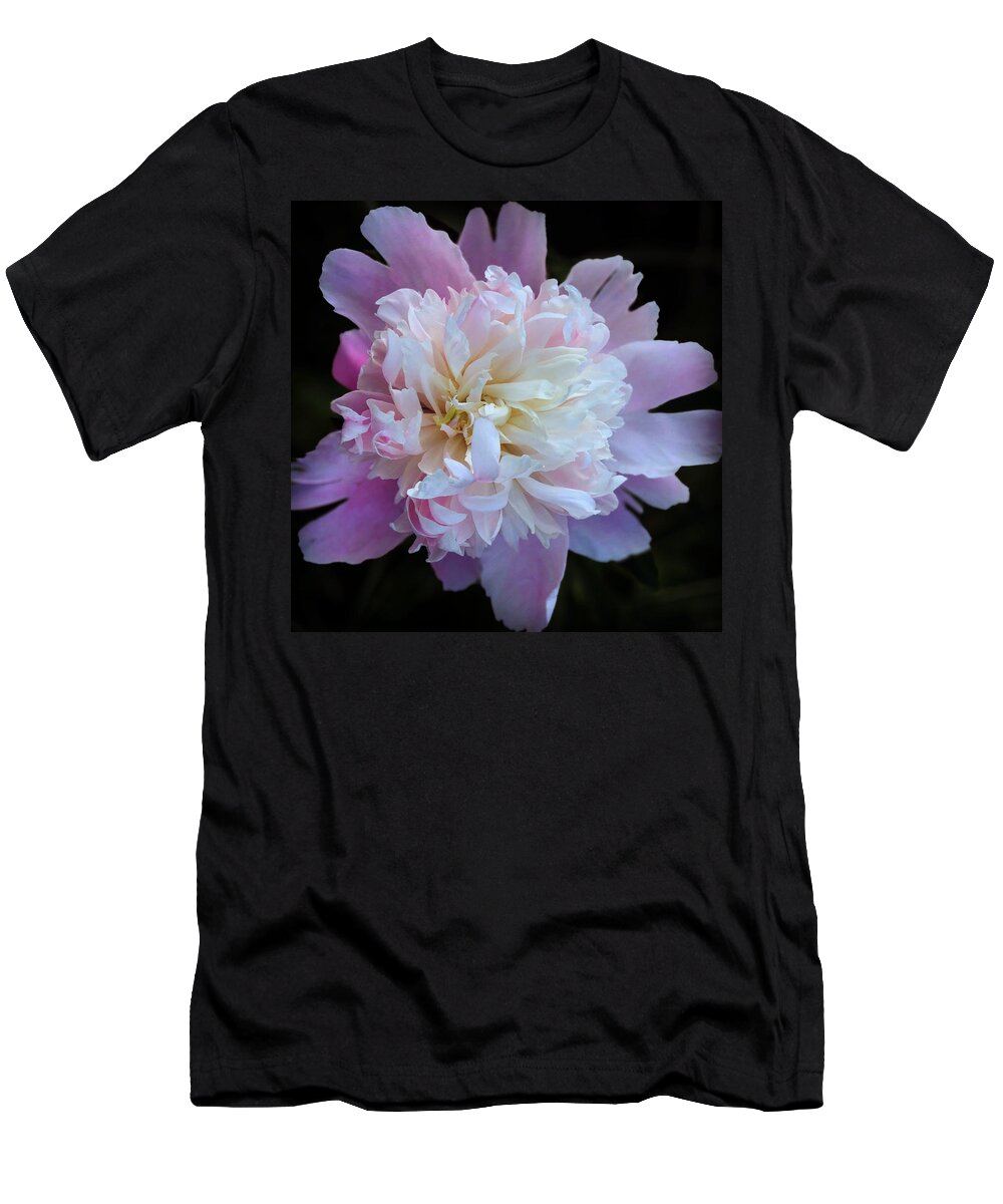 Floral T-Shirt featuring the photograph Beauty by JoAnn Lense