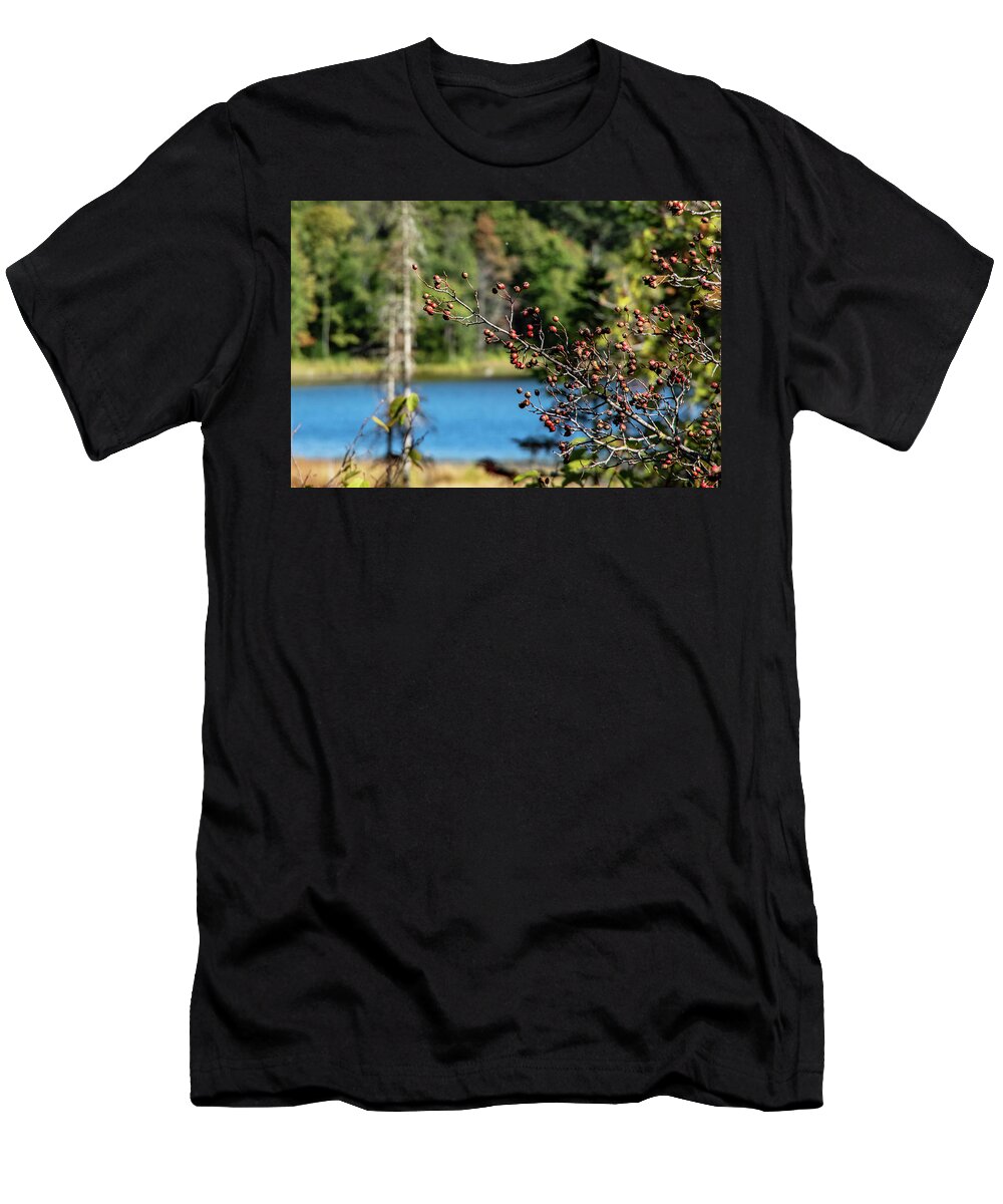 No People T-Shirt featuring the photograph Berries overhang ing lake by Nathan Wasylewski