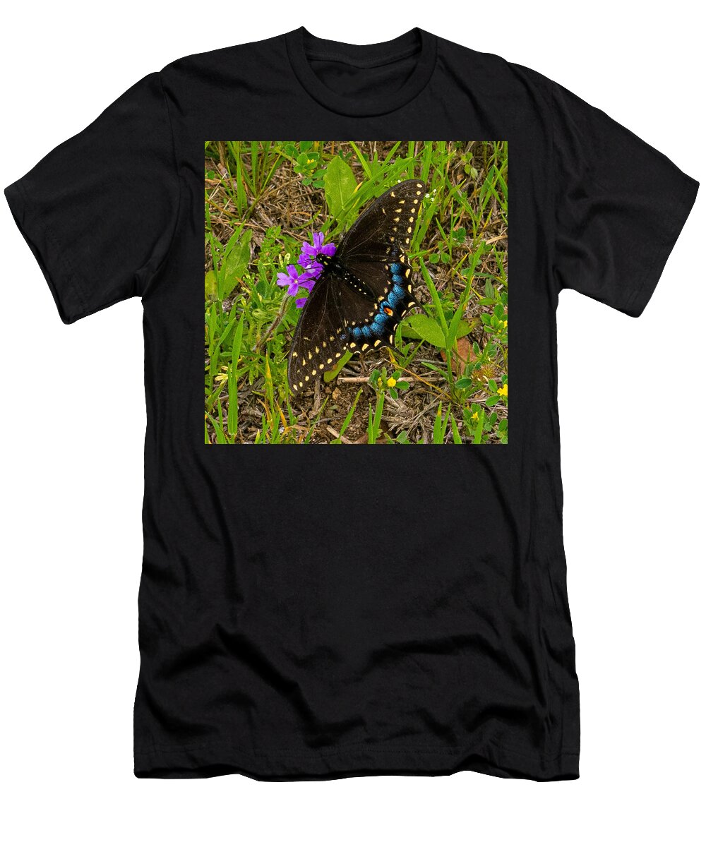 Butterfly T-Shirt featuring the photograph Big Swallow Little Flower by Ivars Vilums