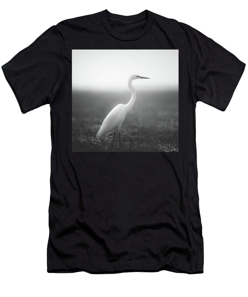 Birds T-Shirt featuring the photograph Bird in Dream by Dheeraj Mutha