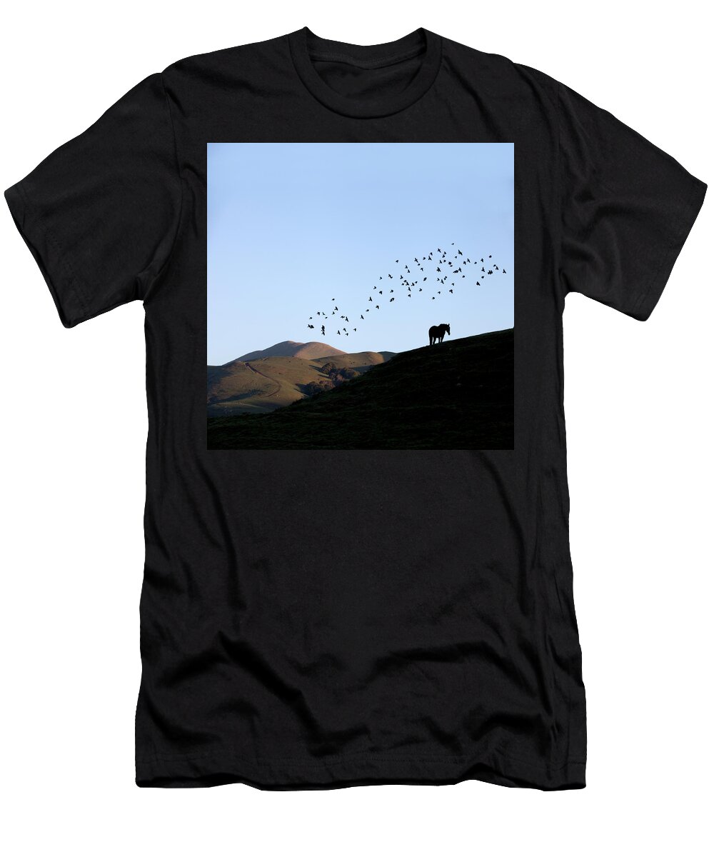 Birds Above Pasture T-Shirt featuring the photograph Birds above pasture by Donald Kinney