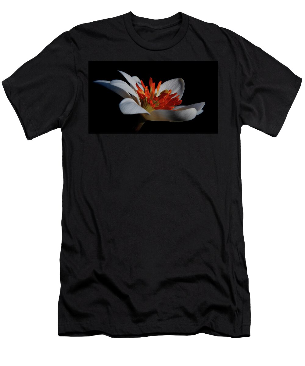 Flower T-Shirt featuring the photograph Bloodroot Art by Patti Deters
