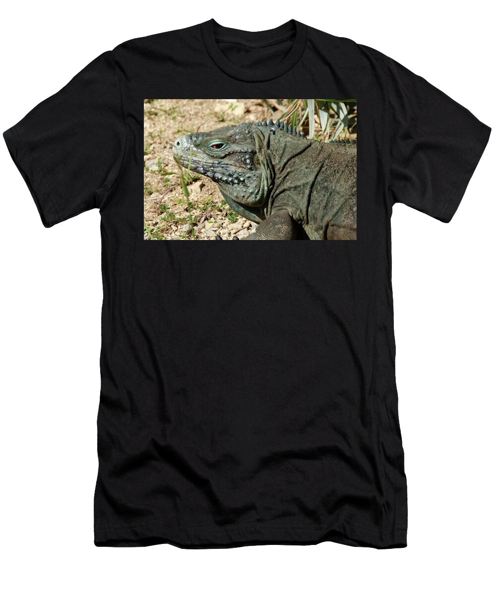 Iguana T-Shirt featuring the digital art Blue iguana skank eye by Debra Baldwin