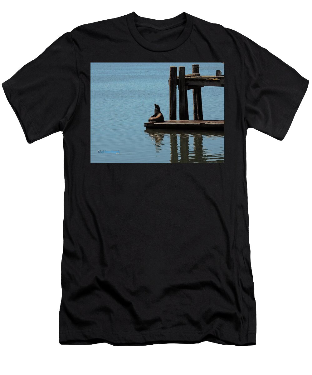 Animal T-Shirt featuring the photograph Bodega Bay Seal by Richard Thomas