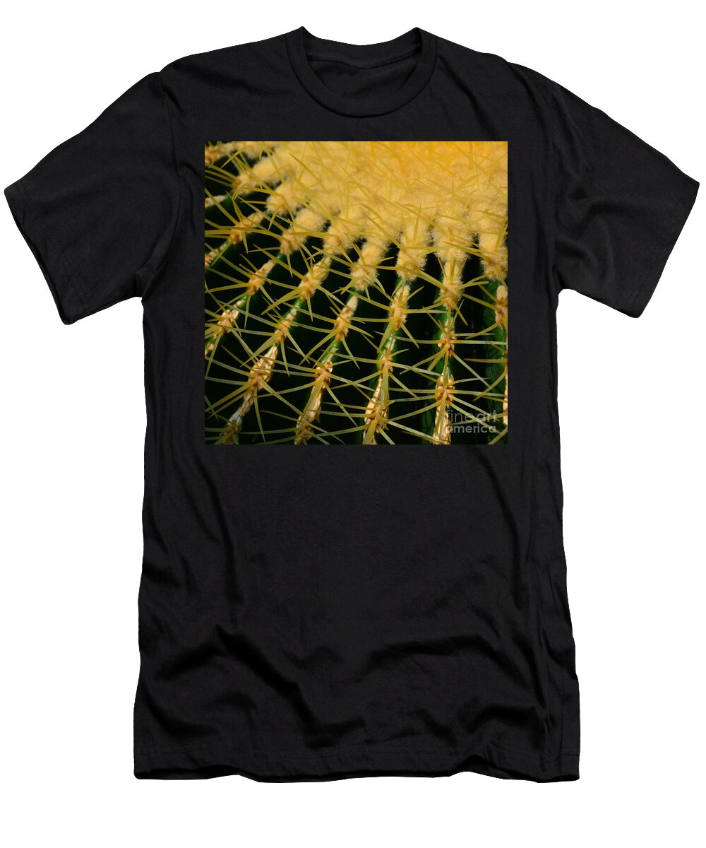 Cactus T-Shirt featuring the photograph Cactus by Paul Davenport