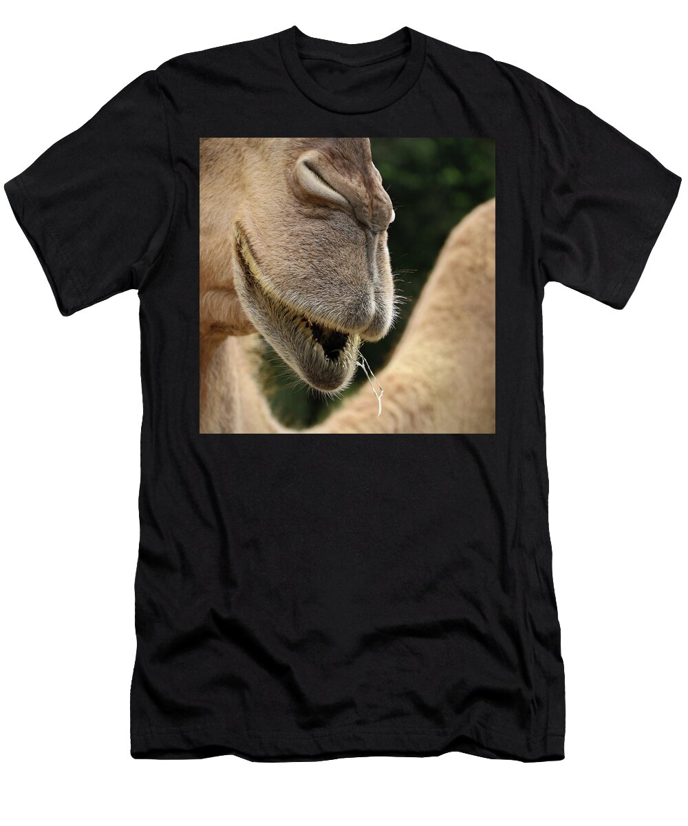 Camel T-Shirt featuring the photograph Camel by M Kathleen Warren