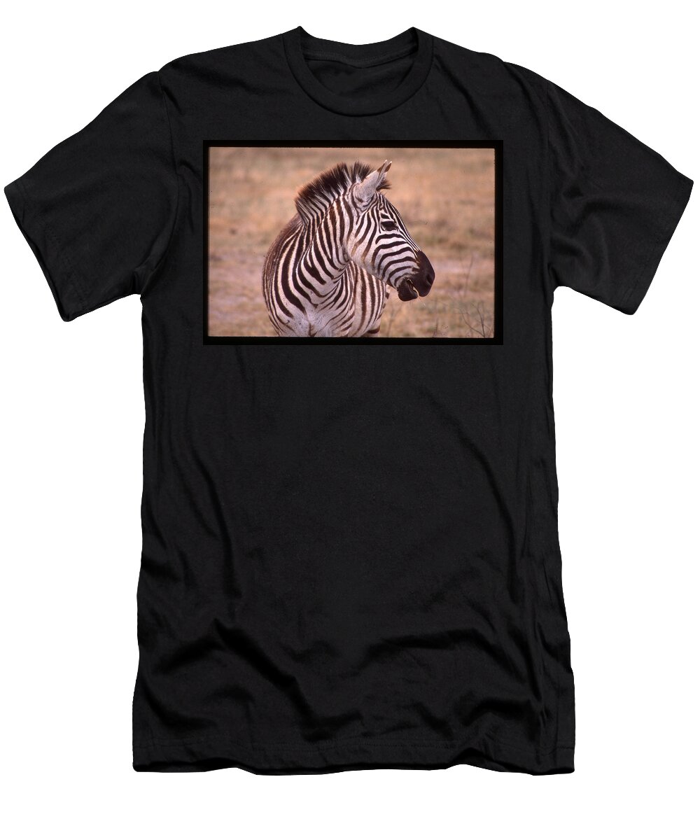 Africa T-Shirt featuring the photograph Camera Shy Zebra by Russ Considine