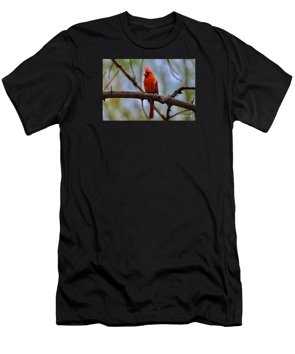 Male Northern Cardinal T-Shirt featuring the digital art Male Northern Cardinal by Tammy Keyes