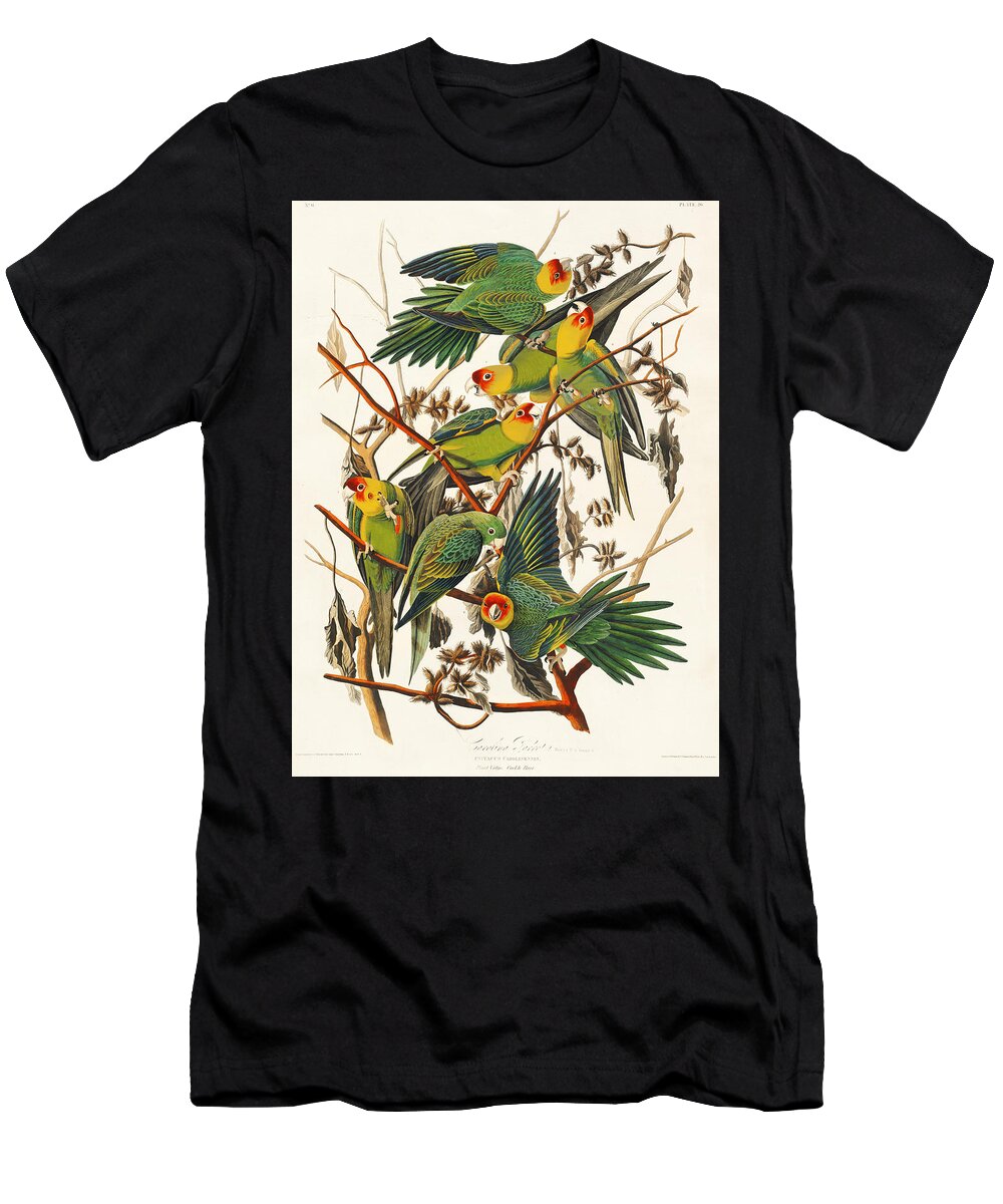 Carolina Parrots T-Shirt featuring the mixed media Carolina Parrots. John James Audubon by World Art Collective