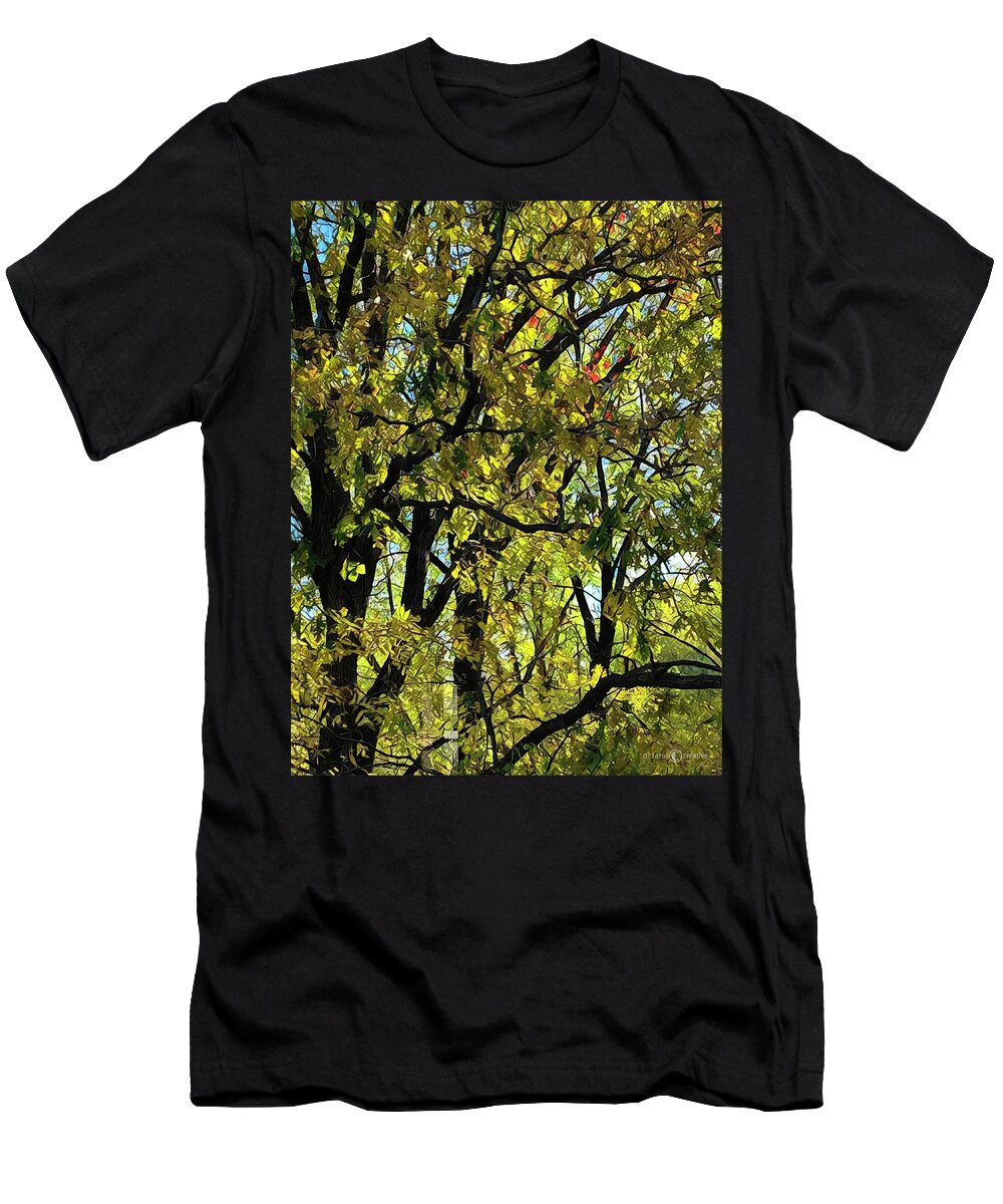 Trees T-Shirt featuring the photograph Change of Season by Tim Nyberg