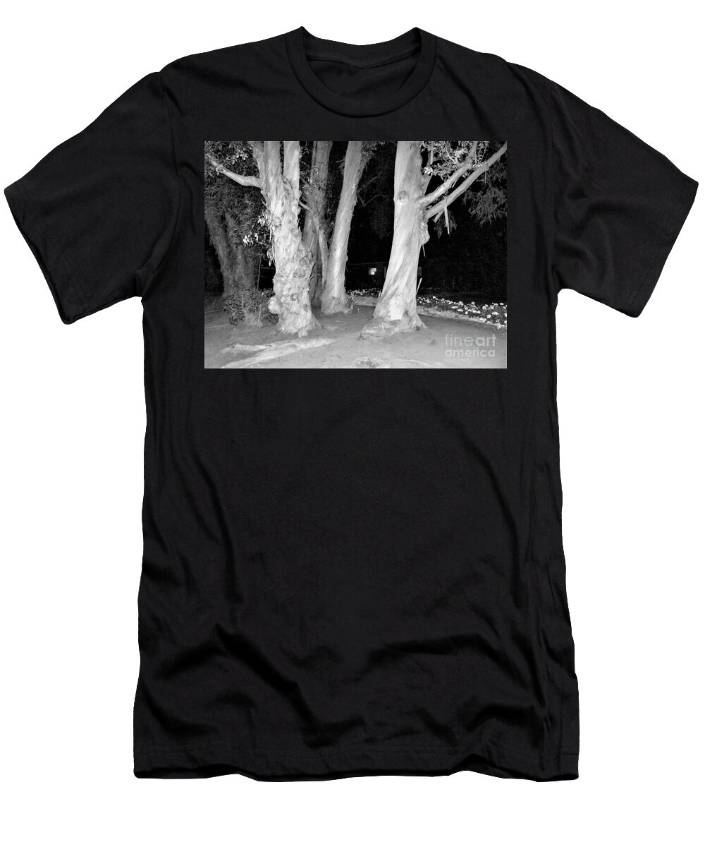 Five Trees T-Shirt featuring the photograph Chiaroscuro In Nature by Rosanne Licciardi