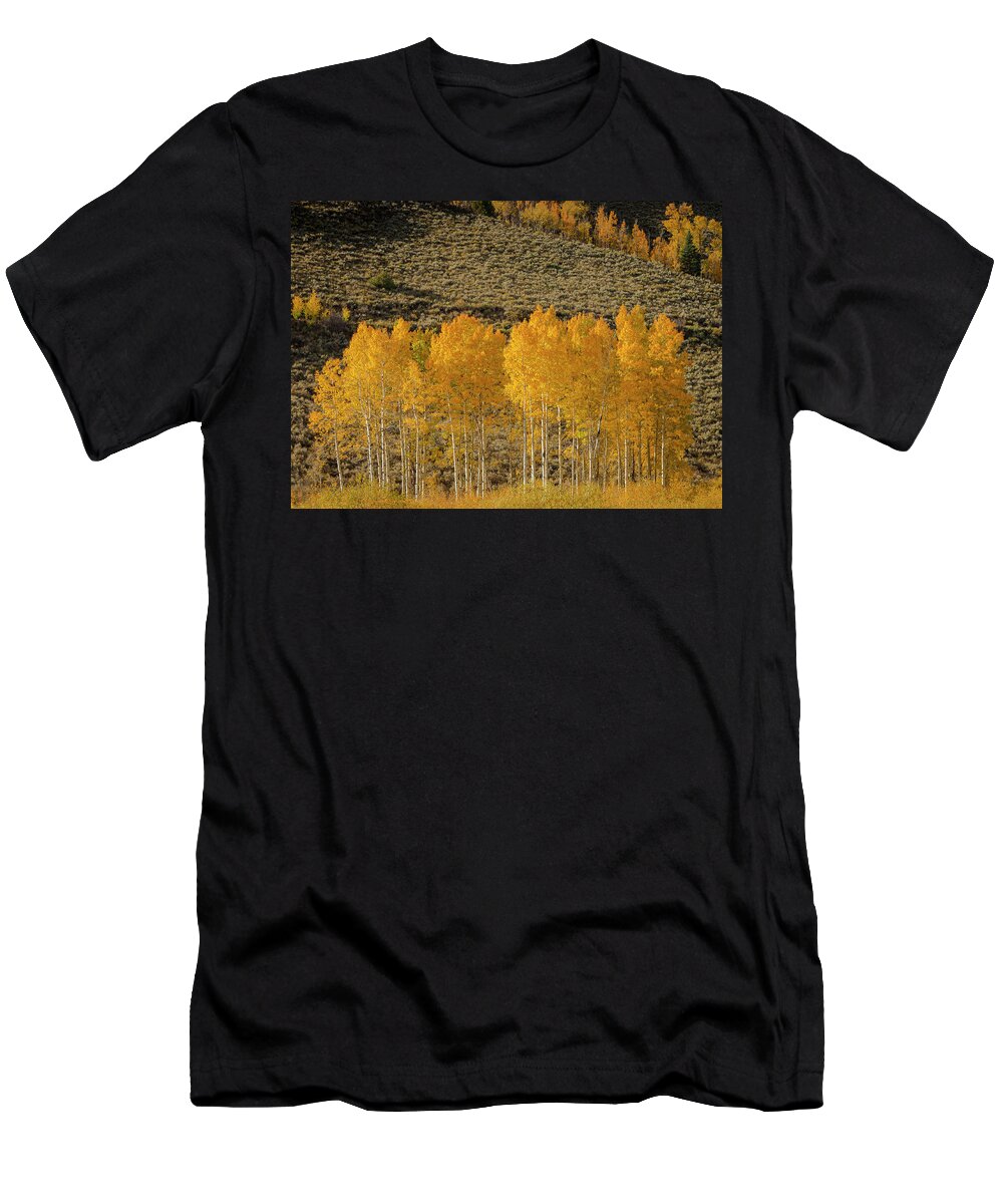 Colorado T-Shirt featuring the photograph Colorado Rockies by Maresa Pryor-Luzier