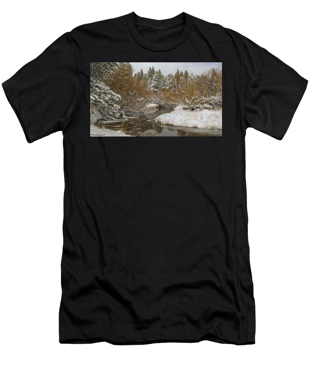  California T-Shirt featuring the photograph creek after the storm, El Dorado National Forest, California, USA by PROMedias US