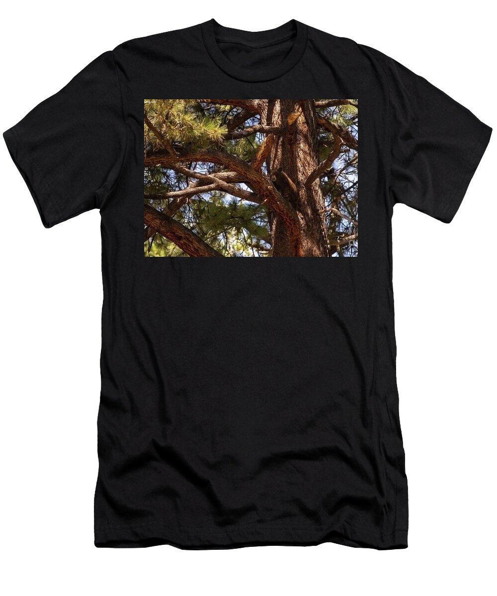 Wildlife T-Shirt featuring the photograph cub in El Dorado National Forest, California, U.S.A.-3 by PROMedias US