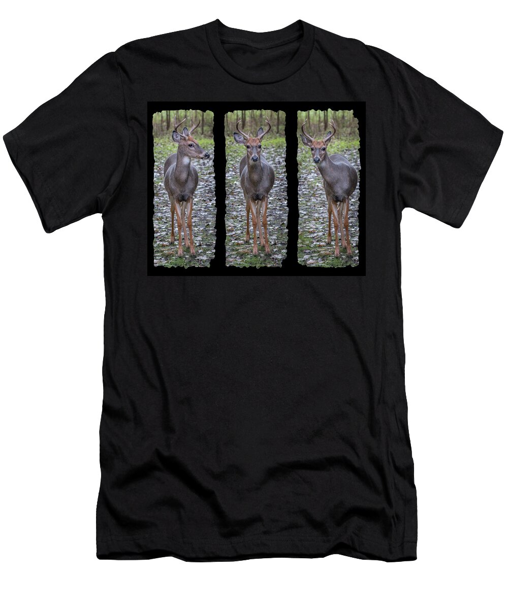 Fawn T-Shirt featuring the photograph Curious Yearling Deer by Patti Deters