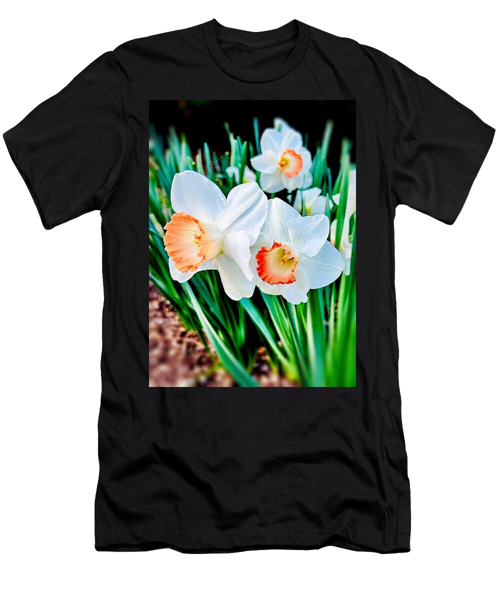 Spring T-Shirt featuring the photograph Daffodils by John Anderson