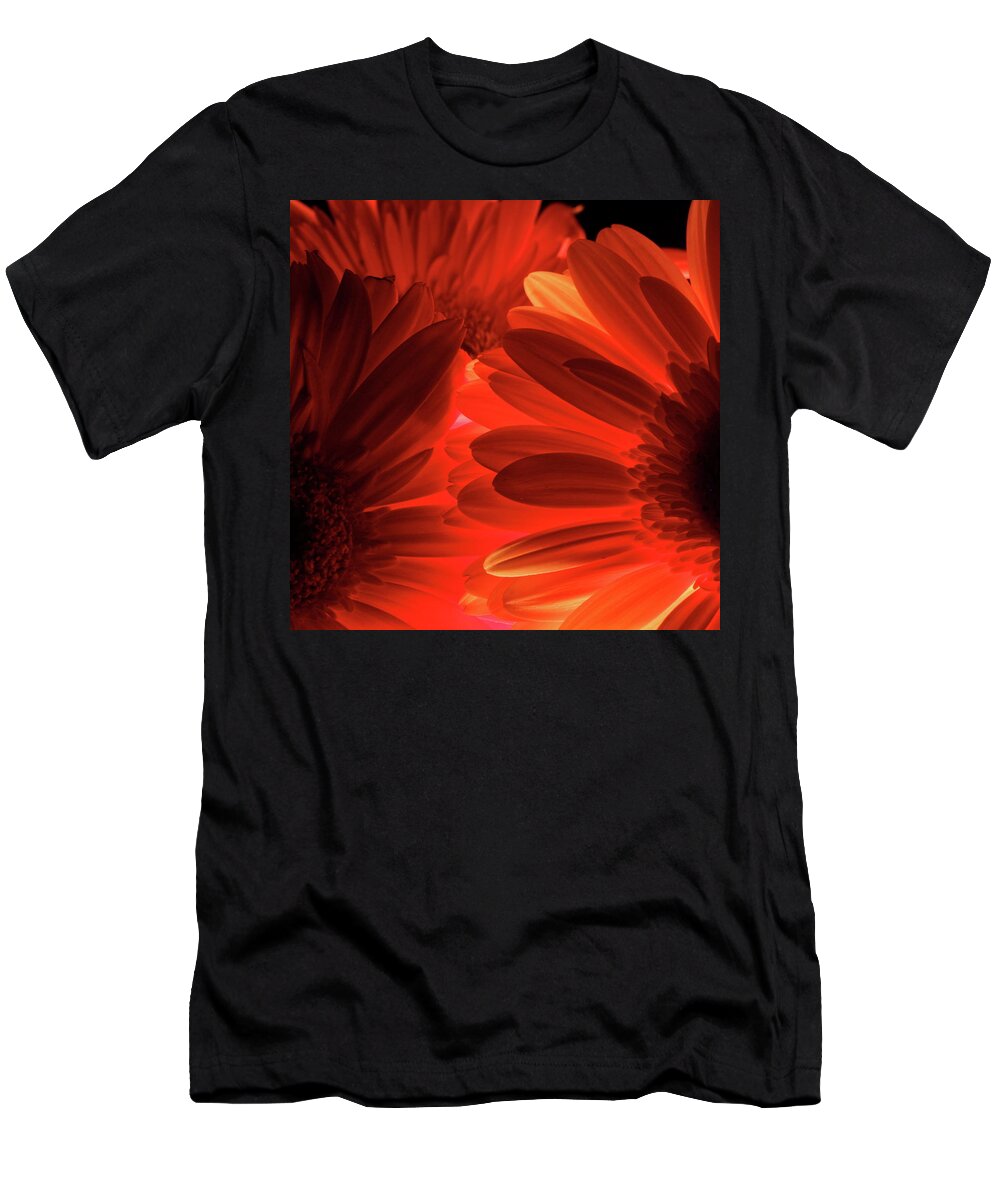 Macro T-Shirt featuring the photograph Daisy 9396 by Julie Powell
