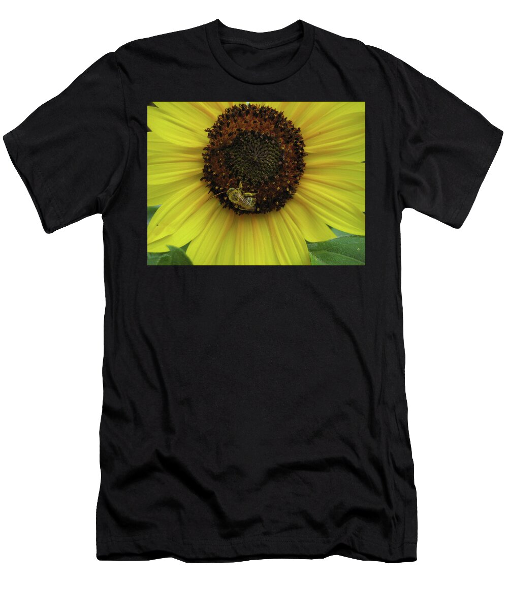 Flowers T-Shirt featuring the photograph Daisy Bee by Segura Shaw Photography