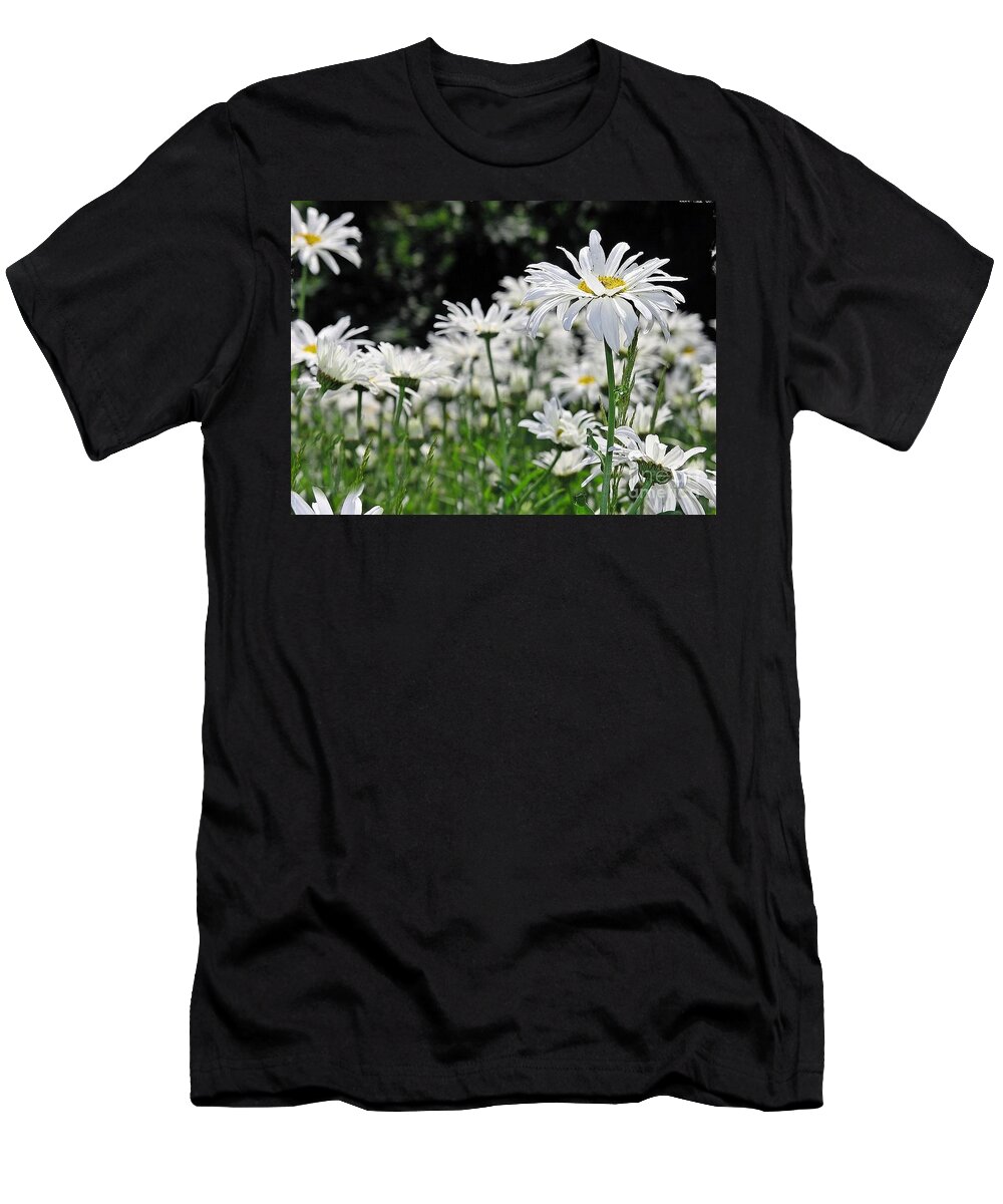 Daisy T-Shirt featuring the photograph Darlin' Daisies by Kimberly Furey