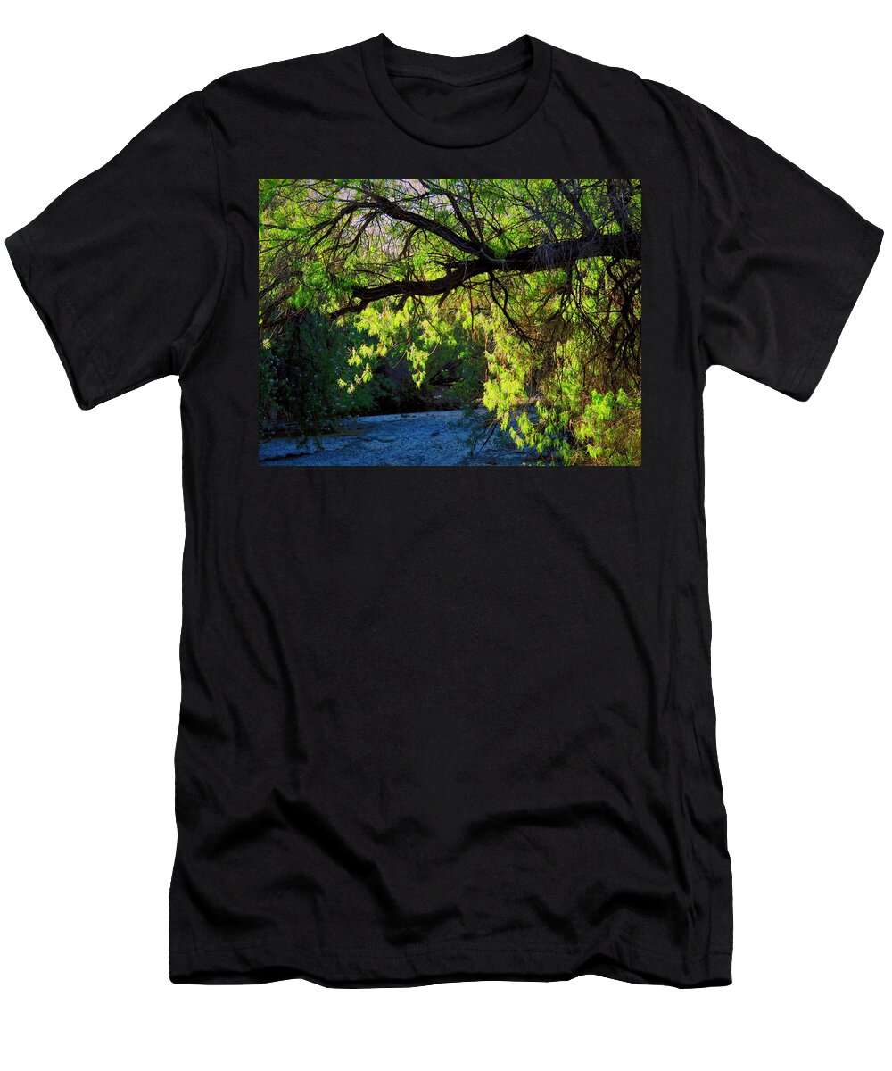Desert Plants T-Shirt featuring the photograph Deep in the Vekol by Judy Kennedy