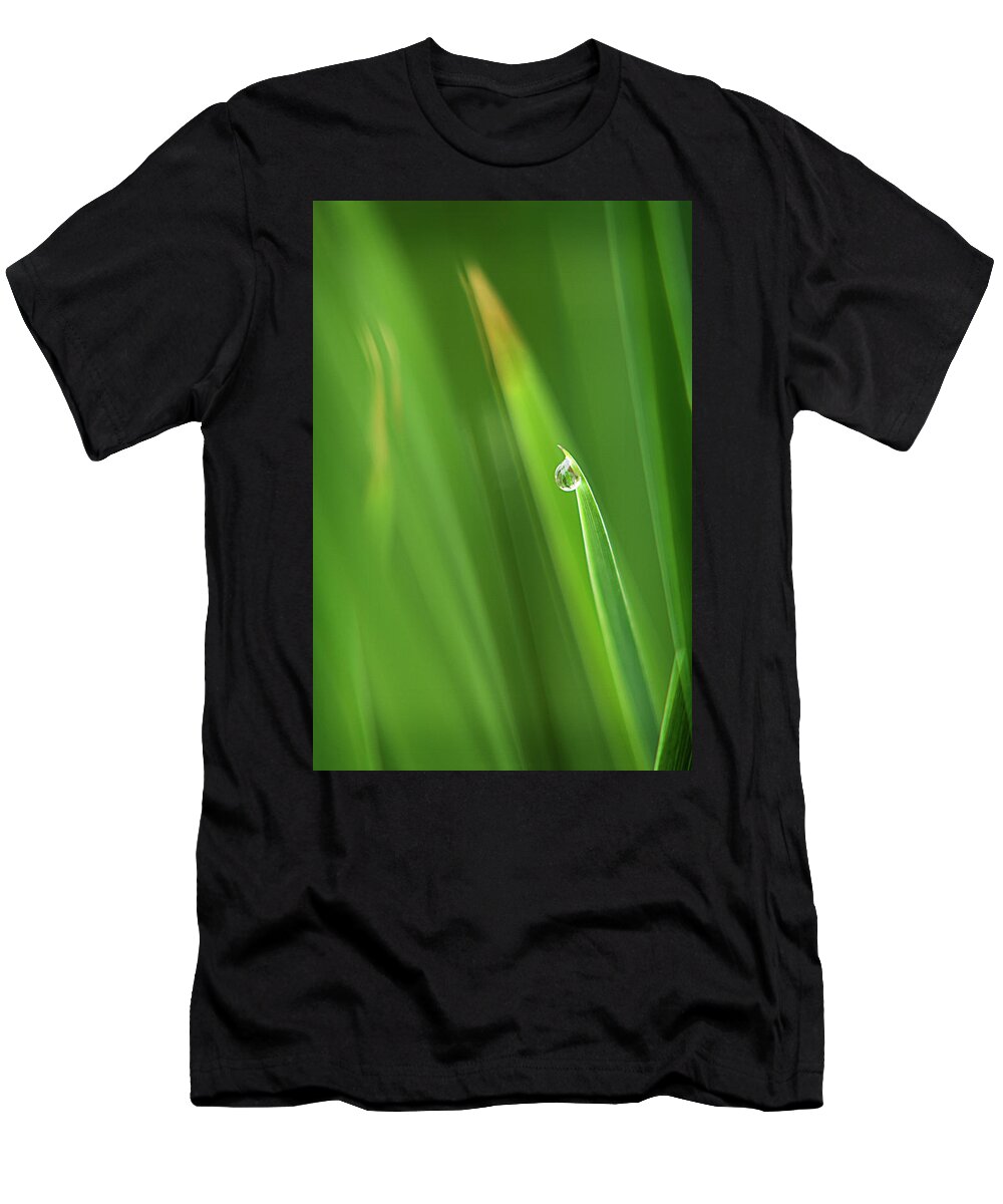 Dew T-Shirt featuring the photograph Dew Drop by Jill Love
