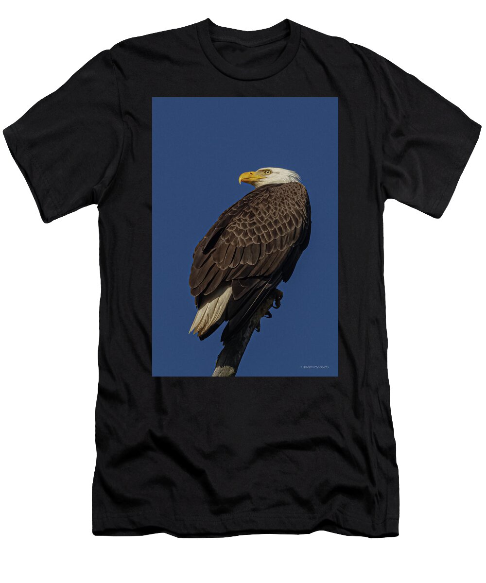Minnowbrook Eagle T-Shirt featuring the photograph Diligence by Al Griffin