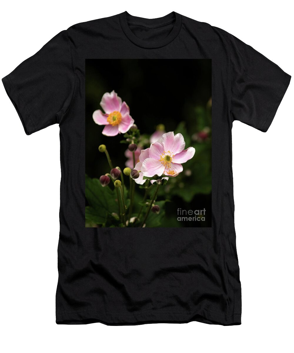 Dog Rose Flowers Photographed In Central Park T-Shirt featuring the photograph Dog Rose Flowers In Central Park 2 by Dorothy Lee