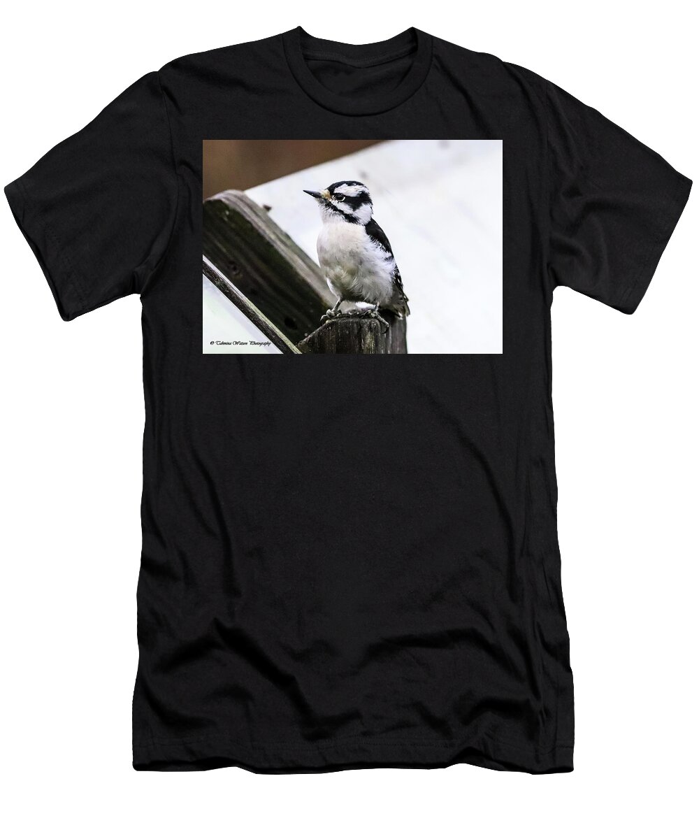 Woodpecker T-Shirt featuring the photograph Downy Woodpecker by Tahmina Watson