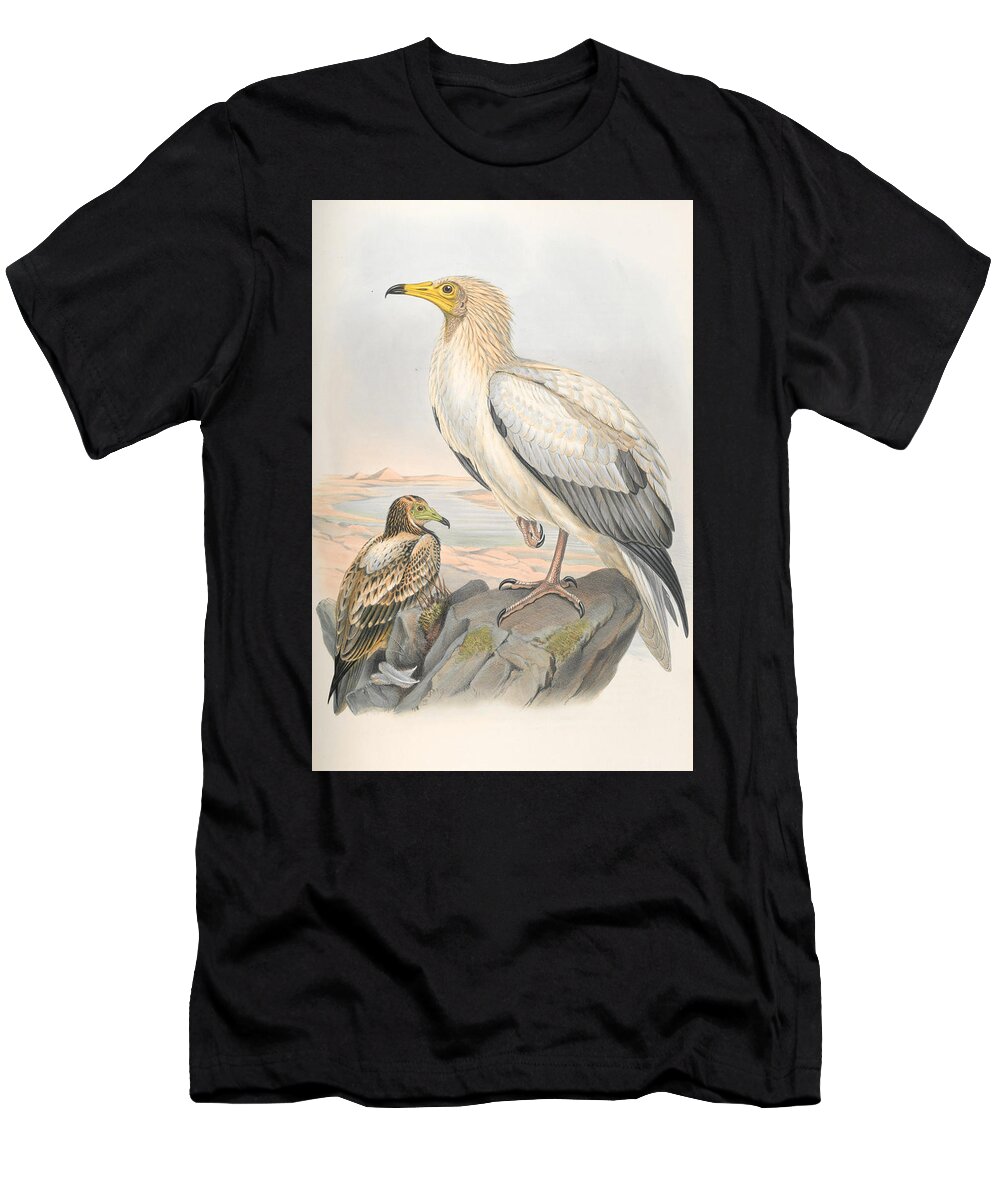 Egyptian Vulture T-Shirt featuring the mixed media Egyptian Vulture by World Art Collective