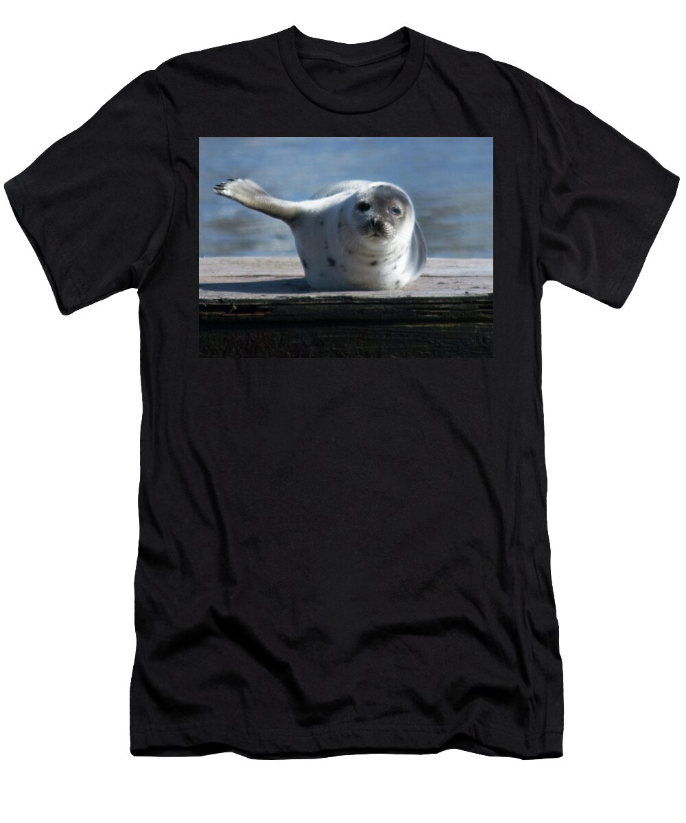 Seal T-Shirt featuring the photograph Even Keel by Ellen Koplow