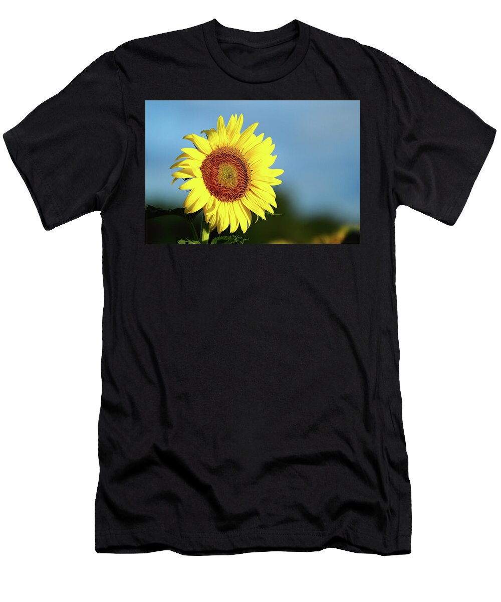 Summer T-Shirt featuring the photograph Face The Day by Lens Art Photography By Larry Trager