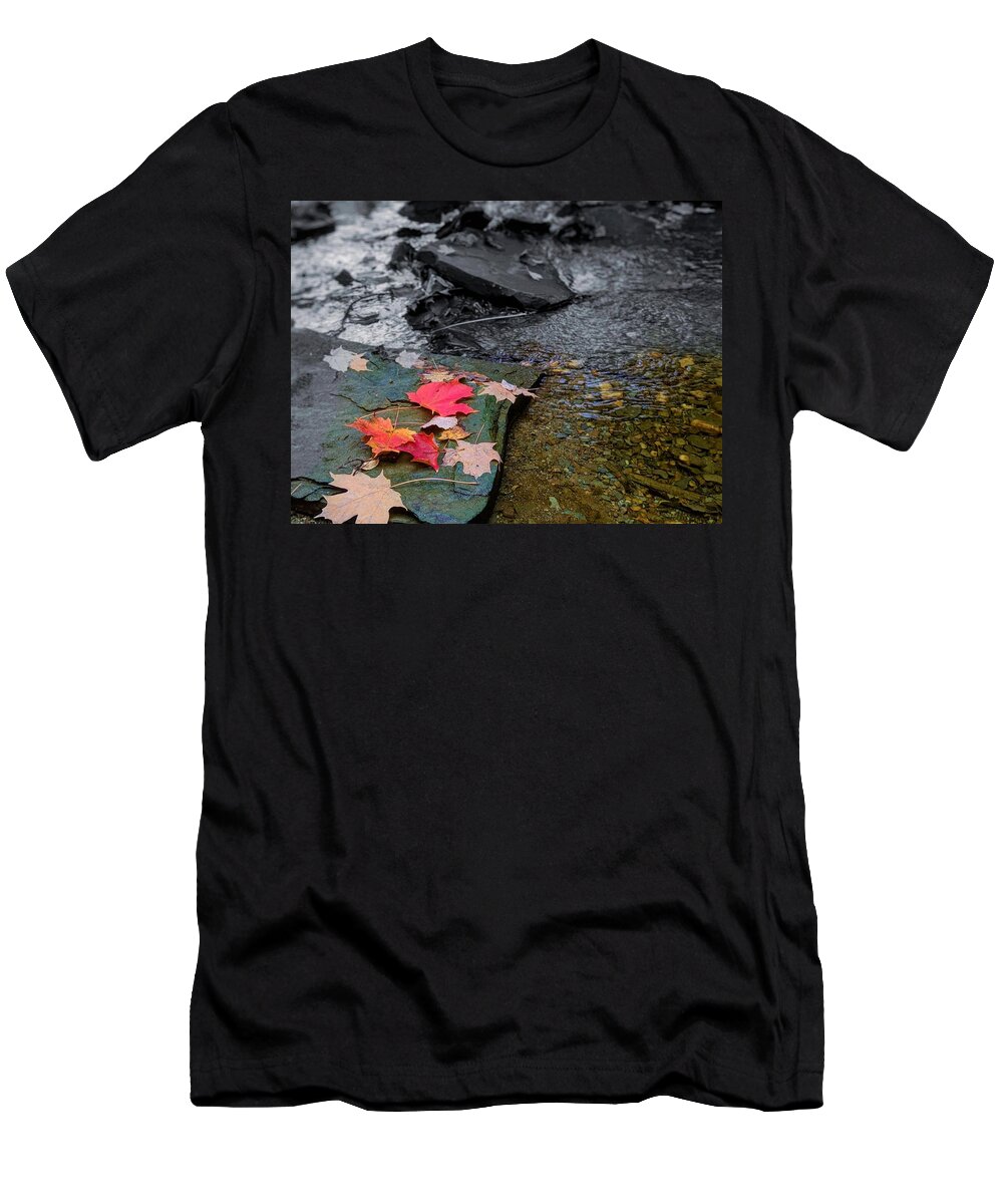 T-Shirt featuring the photograph Fall Leaves by Brad Nellis