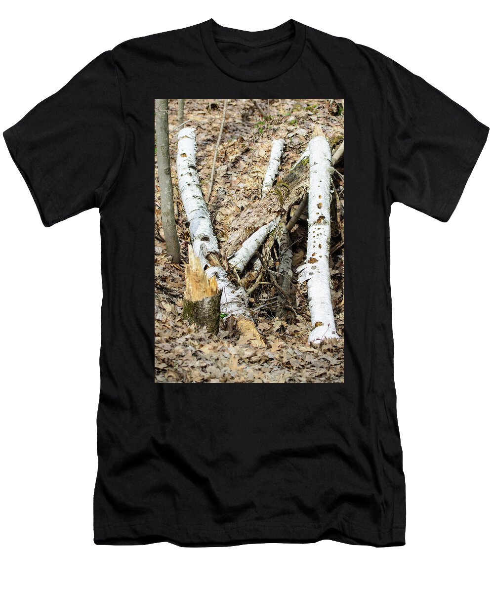 Fallen Birch T-Shirt featuring the photograph Fallen Birch by James Canning