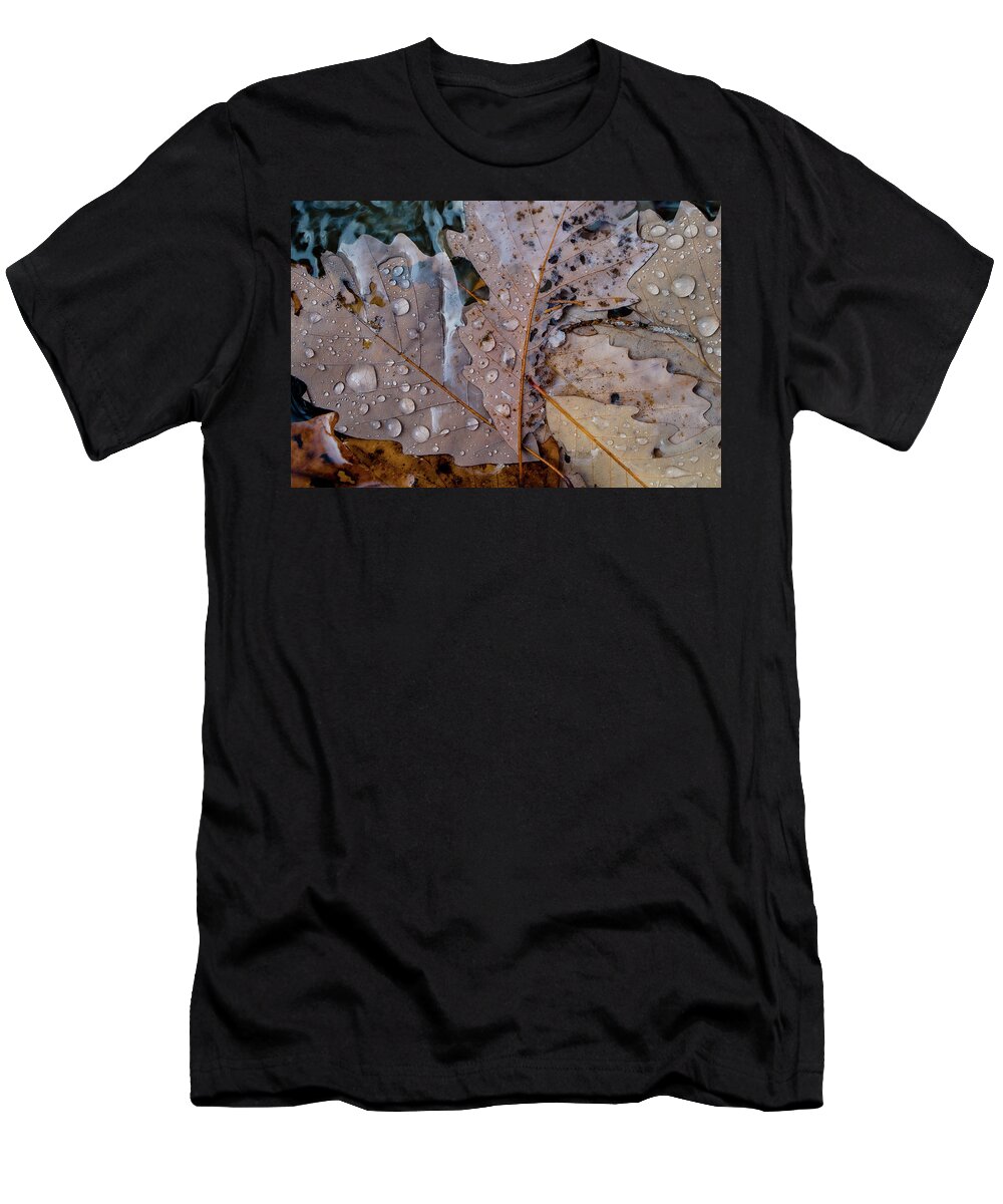 Forest T-Shirt featuring the photograph Falling Leaves in Autumn by Iris Greenwell