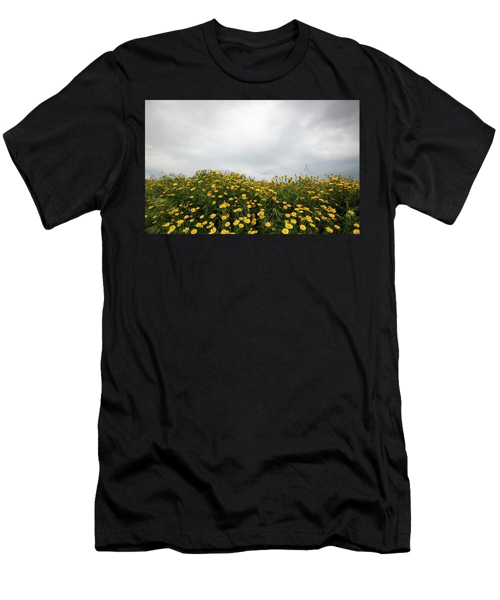 Spring T-Shirt featuring the photograph Field with yellow marguerite daisy blooming flowers against cloudy sky. Spring landscape nature background by Michalakis Ppalis