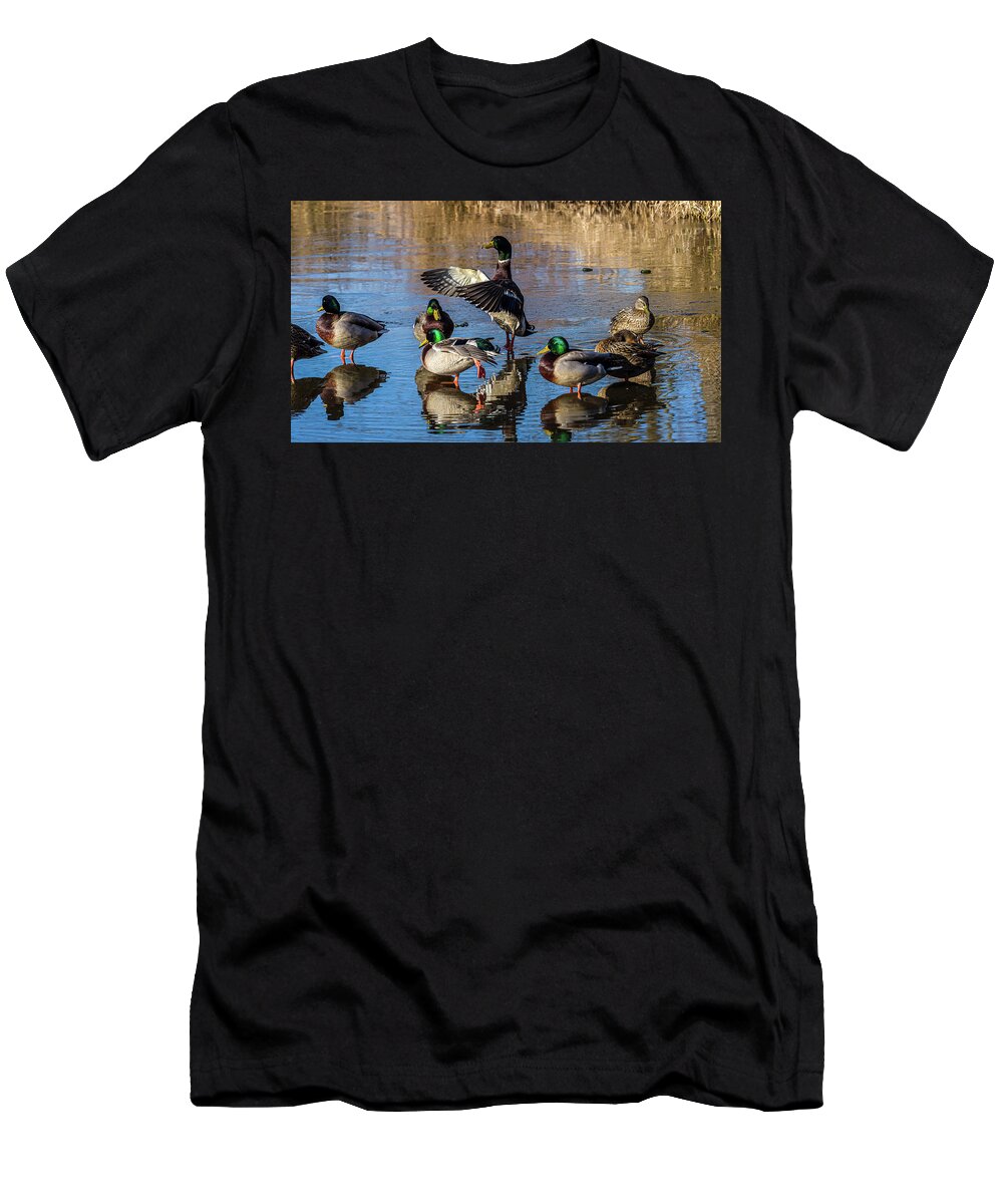 Birds T-Shirt featuring the photograph Flaping Our Wings - Mallard Ducks by Louis Dallara